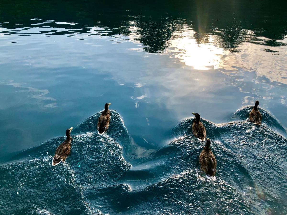 B&B Plitvica Creek Plitvica selo Dış mekan fotoğraf