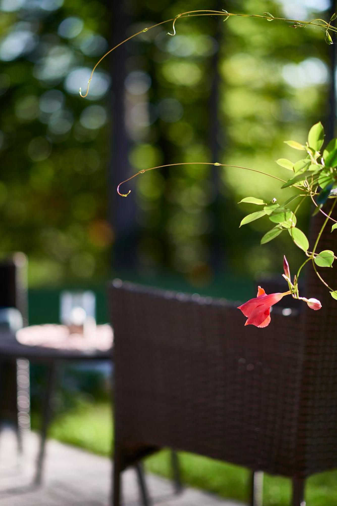 B&B Plitvica Creek Plitvica selo Oda fotoğraf